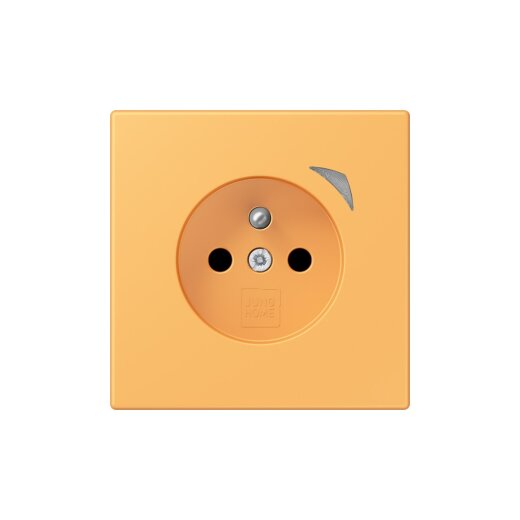 Jung Steckdose BTLC1521FS254 HOME franz belg