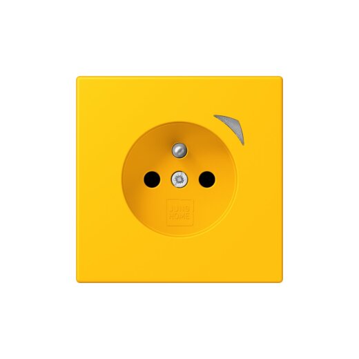 Jung Steckdose BTLC1521FS263 HOME franz belg