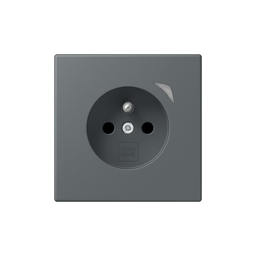 Jung Steckdose BTLC1521FSE202 HOME Energy franz