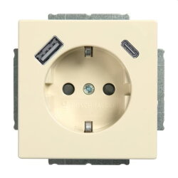 Busch-Jaeger SCHUKO-Steckdose 20 EUCB2USBAC-82 A+C