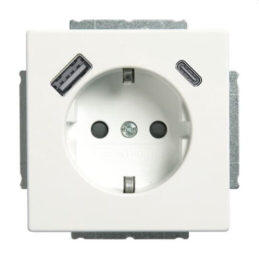 Busch-Jaeger SCHUKO-Steckdose 20 EUCB2USBAC-884 A+C