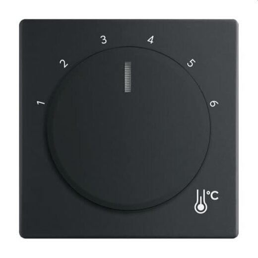 Busch-Jaeger Zentralscheibe 1794 R-885 Temperatur rund