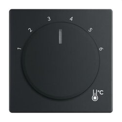 Busch-Jaeger Zentralscheibe 1794 R-885 Temperatur rund