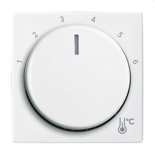 Busch-Jaeger Zentralscheibe 1794 R-914 Temperatur rund