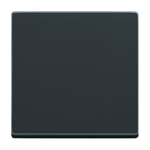 Busch-Jaeger Bedienelement 6735 BT-81 BT 1-f.