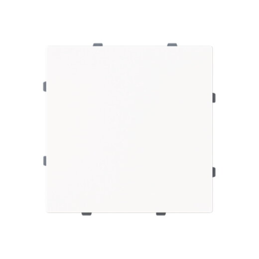 Busch-Jaeger Blindzentralscheibe 1742-44M m.Tragring