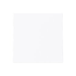 Busch-Jaeger Blindzentralscheibe 1749-44G m.Tragring...