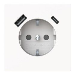 Busch-Jaeger SCHUKO-Steckdose 20 EUCB2USBAC-44G USB-A+C...
