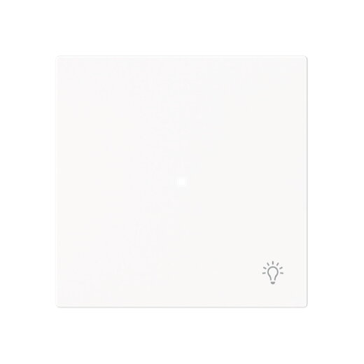 Busch-Jaeger Wippe 6231-10-44M 1-f.m.Symbol Licht