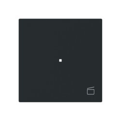 Busch-Jaeger Wippe 6233-10-45M 1-f.m.Symbol Szene