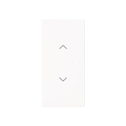 Busch-Jaeger Wippe 6232-20-44G 2-f.m.Symbol Jalousie