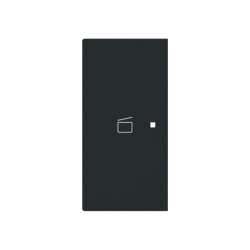 Busch-Jaeger Wippe 6233-21-45M 2-f.links m.Symbol Szene