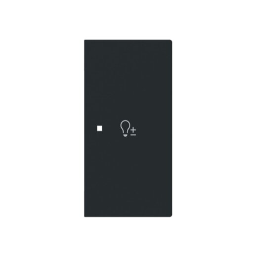 Busch-Jaeger Wippe 6234-22-45M 2-f.rechts m.Symbol Dimmer