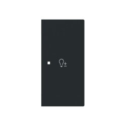 Busch-Jaeger Wippe 6234-22-45M 2-f.rechts m.Symbol Dimmer