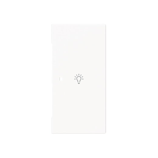 Busch-Jaeger Wippe 6231-22-44G 2-f.rechts m.Symbol Licht