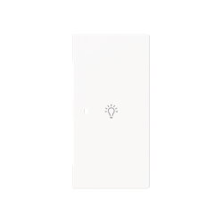 Busch-Jaeger Wippe 6231-22-44G 2-f.rechts m.Symbol Licht