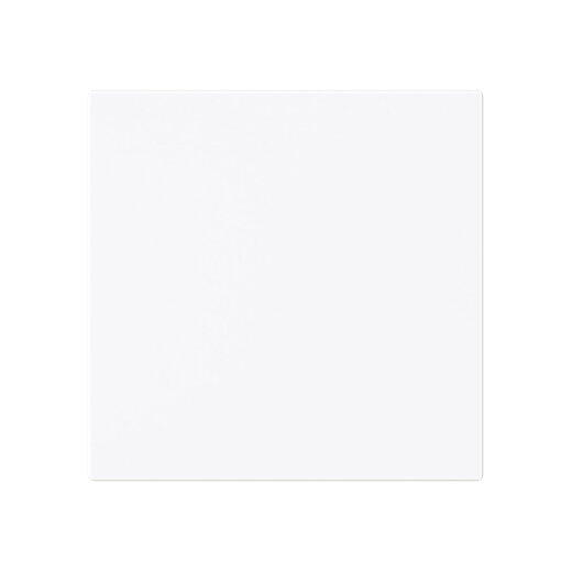 Busch-Jaeger Wippe 1786-44G geschlossen ganzflächig