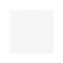 Busch-Jaeger Wippe 1786-44G geschlossen ganzflächig