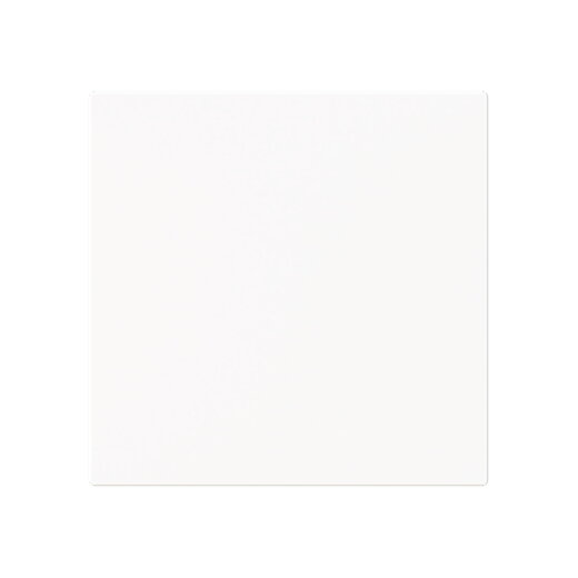 Busch-Jaeger Wippe 1786-44M geschlossen ganzflächig