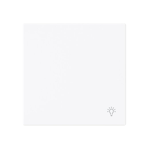 Busch-Jaeger Wippe 2520 LI-44G geschlossen m.Symbol Licht