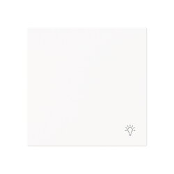 Busch-Jaeger Wippe 2520 LI-44M geschlossen m.Symbol Licht