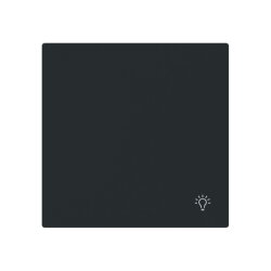 Busch-Jaeger Wippe 2520 LI-45M geschlossen m.Symbol Licht