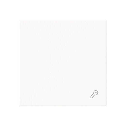 Busch-Jaeger Wippe 2520 TR-44M geschl.m.Symbol Schlüssel