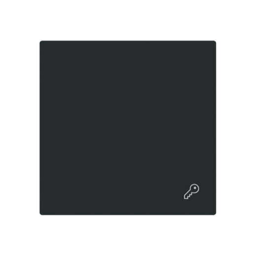 Busch-Jaeger Wippe 2520 TR-45M geschl.m.Symbol Schlüssel