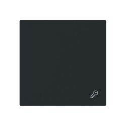 Busch-Jaeger Wippe 2520 TR-45M geschl.m.Symbol...