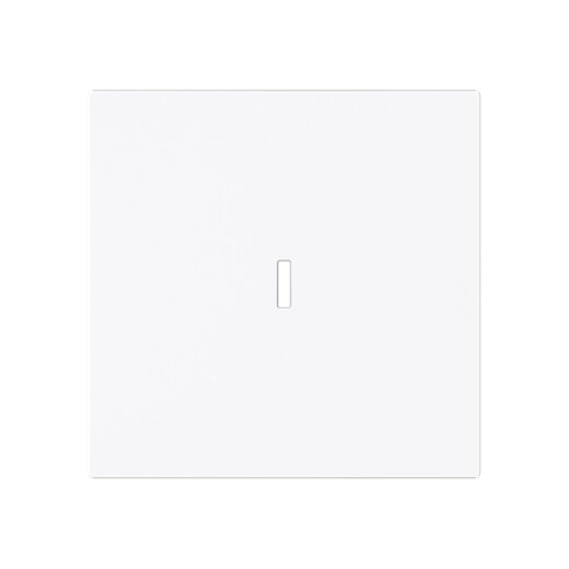 Busch-Jaeger Wippe 1789 N-44G m.Beschriftungsfeld