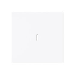 Busch-Jaeger Wippe 1789 N-44G m.Beschriftungsfeld