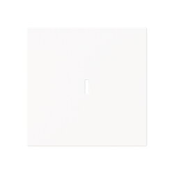 Busch-Jaeger Wippe 1789 N-44M m.Beschriftungsfeld