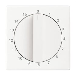 Busch-Jaeger Wippe 1789 NWD-44G m.Kalotte Kontroll