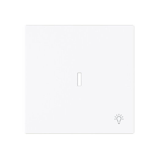 Busch-Jaeger Wippe 1789 LI-44G m.Symbol Licht m.transp.K