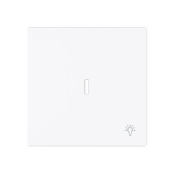 Busch-Jaeger Wippe 1789 LI-44G m.Symbol Licht m.transp.K