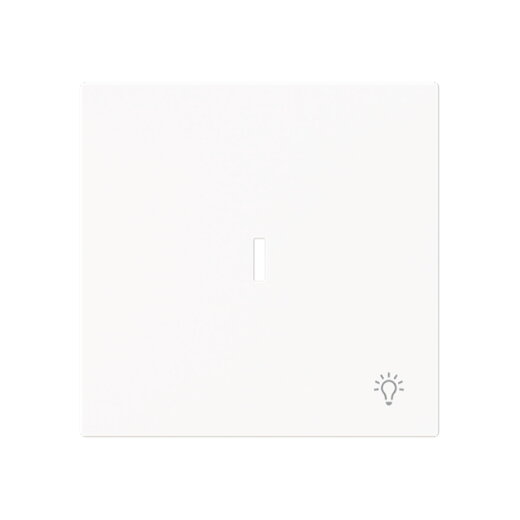 Busch-Jaeger Wippe 1789 LI-44M m.Symbol Licht m.transp.K