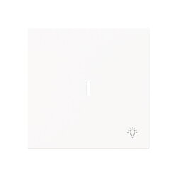 Busch-Jaeger Wippe 1789 LI-44M m.Symbol Licht m.transp.K