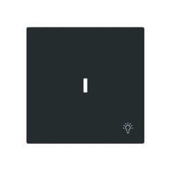 Busch-Jaeger Wippe 1789 LI-45M m.Symbol Licht m.transp.K