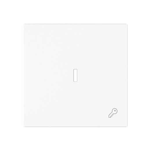 Busch-Jaeger Wippe 1789 TR-44G m.Symb.Schlüssel m.transp.K.