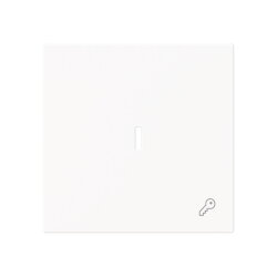 Busch-Jaeger Wippe 1789 TR-44M m.Symb.Schlüssel...