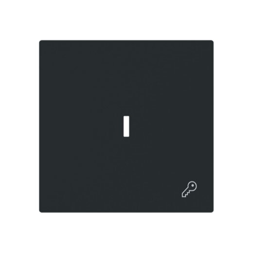 Busch-Jaeger Wippe 1789 TR-45M m.Symb.Schlüssel m.transp.K.