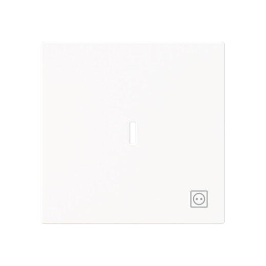 Busch-Jaeger Wippe 1789 ST-44M m.Symb.Stecker m.transp.K.