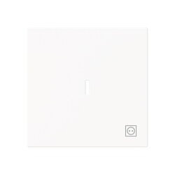 Busch-Jaeger Wippe 1789 ST-44M m.Symb.Stecker m.transp.K.