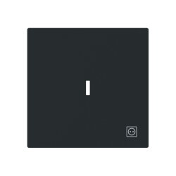 Busch-Jaeger Wippe 1789 ST-45M m.Symb.Stecker m.transp.K.