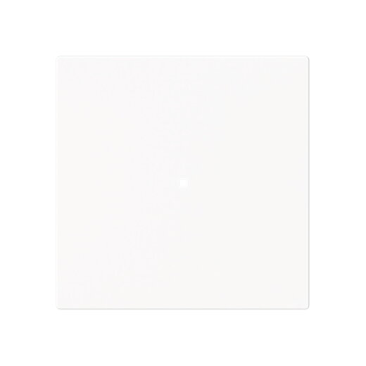 Busch-Jaeger Wippe 6230-10-44M 1-f.neutral o.Bedruckung