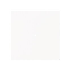 Busch-Jaeger Wippe 6230-10-44M 1-f.neutral o.Bedruckung