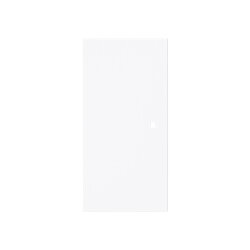 Busch-Jaeger Wippe 6230-20-44G 2-f.neutral o.Bedruckung