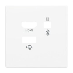 Busch-Jaeger Zentralscheibe 8256-84 Media Connector 8256-84