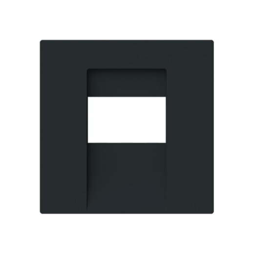 Busch-Jaeger Zentralscheibe 1766-45M