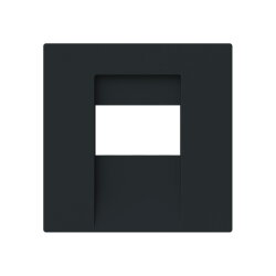 Busch-Jaeger Zentralscheibe 1766-45M